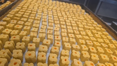 Nokhodchi (Chick pea sweet)